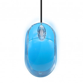 Souris optique usb 3 boutons bleu