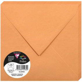 Enveloppe Gommée - Paquet de 20 - Clémentine - 16.5 x 16.5 - 120G