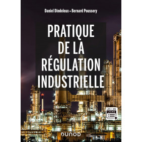 Pratique de la régulation industrielle - Grand Format