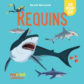 Requins - Album - Dès 3 ans