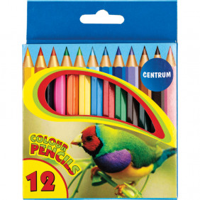 Crayons de couleur - 12 Couleurs - ZOO format court