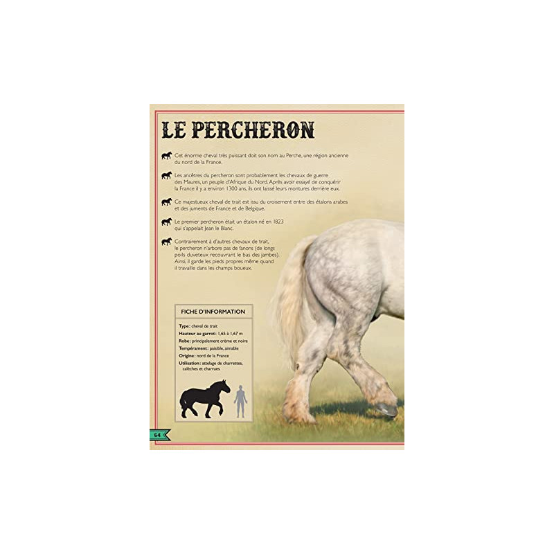Livre Cheval Percheron, Cheval du monde