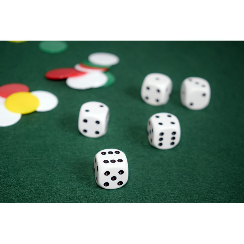 Piste de dés géante 46cm - 5 dés - 21 jetons - Autres jeux d'éveil - Achat & prix