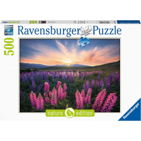 Puzzle Adulte Les lupins Nature edition - 500 pièces - Ravensburger - Dès 12 ans