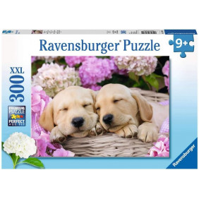 Puzzle Enfant - Mignons chiots dans la corbeille - Ravensburger - 300 pièces - Dès 9 ans