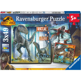 Puzzle Enfant - Puzzles 3x49 p - T-rex et autres dinosaures / Jurassic World 3 - Ravensburger - Dès 5 ans