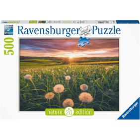 Puzzle Adulte - Pissenlits au crépuscule - 500 pièces - Ravensburger - Dès 12 ans