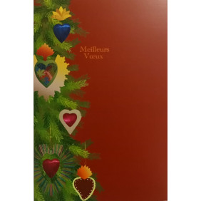 Carte meilleurs vœux - bonne année - assortie