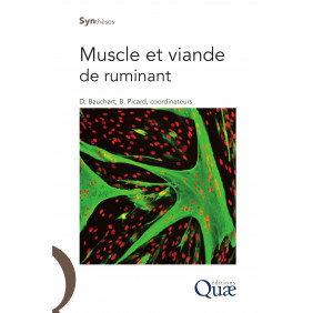 Muscle et viande de ruminants