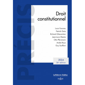 Droit constitutionnel - Grand Format