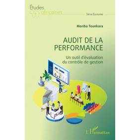 Audit de la performance - Un outil d'évaluation du contrôle de gestion
