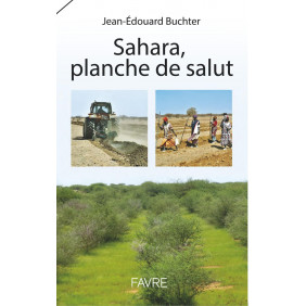 Sahara, planche de salut - Grand Format