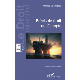 Précis de droit de l'énergie - Grand Format