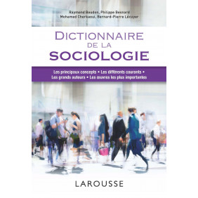 Dictionnaire de la sociologie - Grand Format