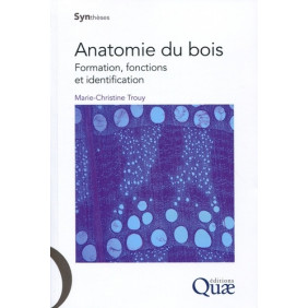 Anatomie du bois - Formation