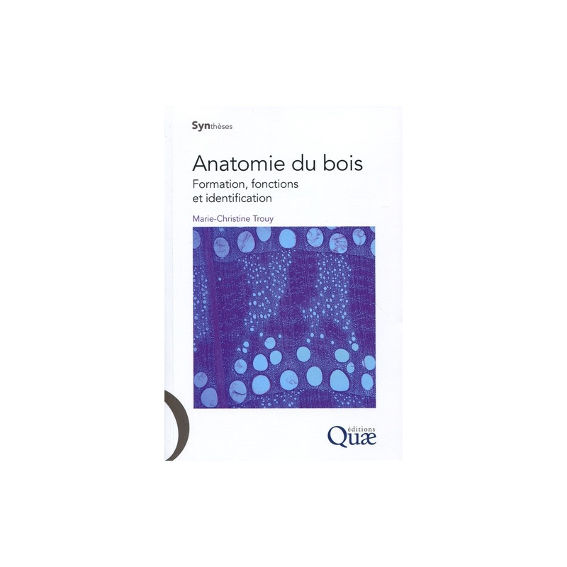 Anatomie du bois - Formation