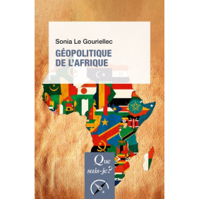 Géopolitique de l'Afrique - Poche