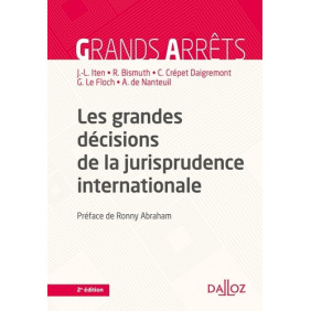 Les grandes décisions de la jurisprudence internationale - Grand Format Edition 2021